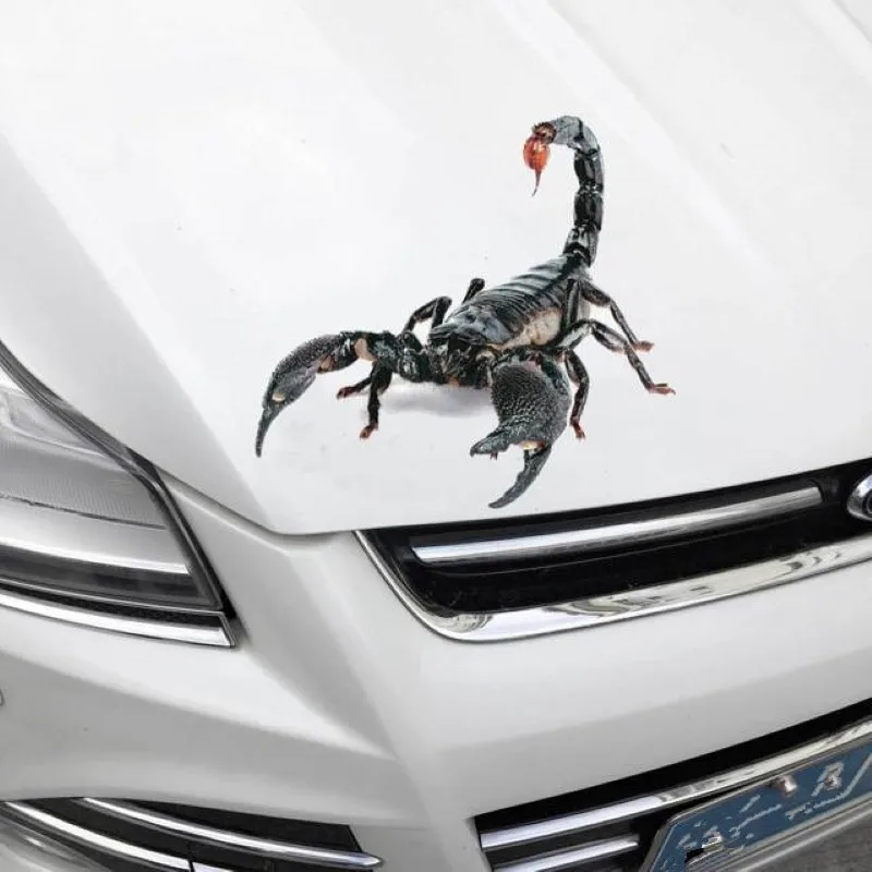 

3D Car Sticker Animals Bumper Spider Gecko Scorpions For Peugeot 206 207 208 301 307 308 407 408 508 607 2008 3008 4008 5008 RCZ