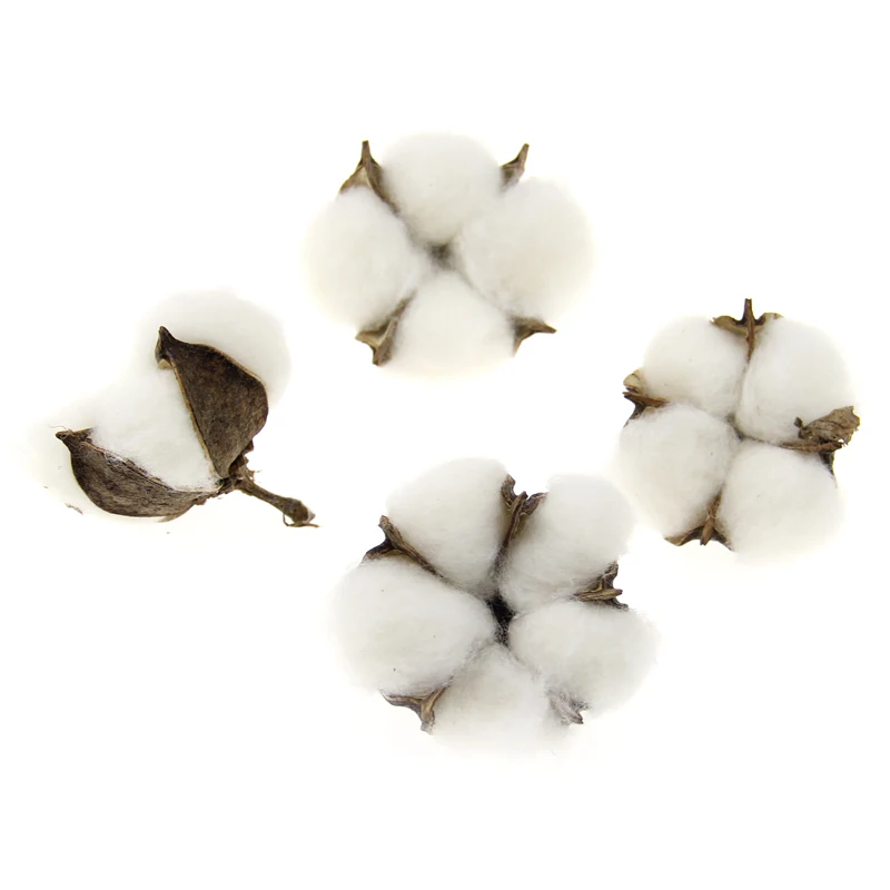 Kapok for Home Decoration 3 pcs 65 mm 3D Dry Flower Wool Felt Cotton DIY Jewelry Accessory Toddler Girl Hair Clip Headband Decor
Kapok for Home Decoration 3 pcs 65 mm 3D Dry Flower Wool Felt Cotton DIY Jewelry Accessory Toddler Girl Hair Clip Headband Decor