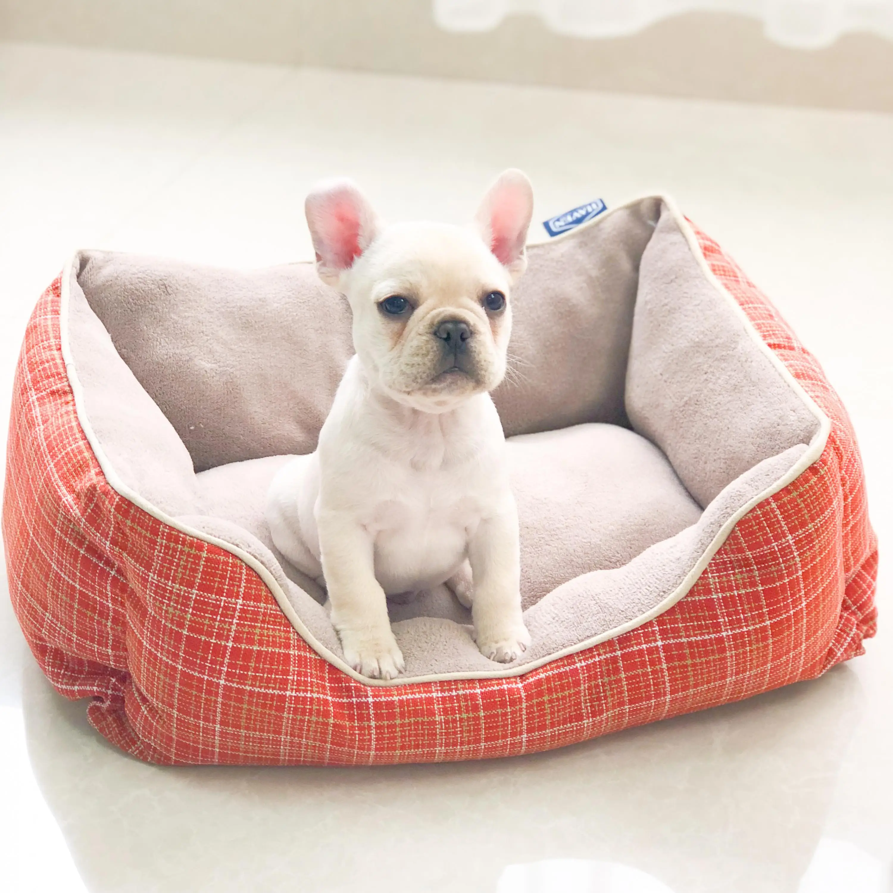 Flannel Thick Soft Dog House Bed Cat Sleep For Cats Nest Pet Blanket Dog Beds For Small Dogs Pets Bed Warm Cat Dog Cushions
Flannel Thick Soft Dog House Bed Cat Sleep For Cats Nest Pet Blanket Dog Beds For Small Dogs Pets Bed Warm Cat Dog Cushions