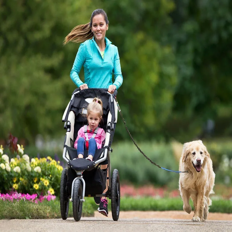 Hands Free Dog Leash Waist Running Belt For Dog Dual Handles Leash Reflective Strip Pet Trainning Rope For Medium Large Dogs
Hands Free Dog Leash Waist Running Belt For Dog Dual Handles Leash Reflective Strip Pet Trainning Rope For Medium Large Dogs