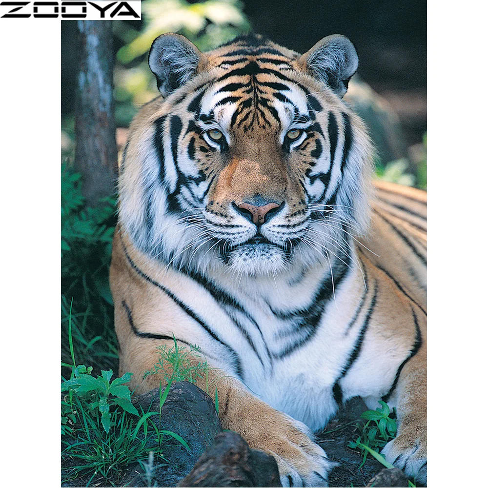 5d DIY Diamond Painting Mosaic Arts Diamond Embroidery Needlework Rhinestone Pasted Cross Stitch Animal Tiger Grassland R1165
5d DIY Diamond Painting Mosaic Arts Diamond Embroidery Needlework Rhinestone Pasted Cross Stitch Animal Tiger Grassland R1165