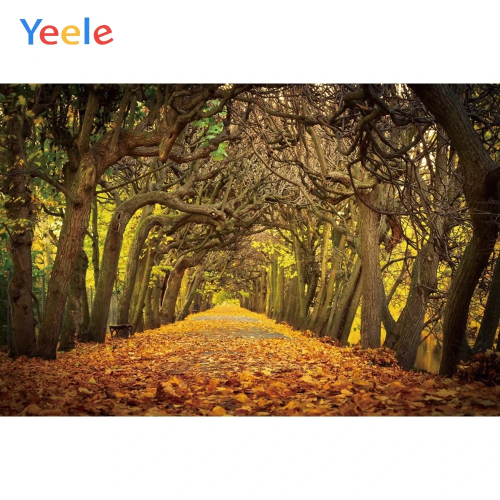 Фоны для фотосъемки Yeele, Осенний пейзаж, опавшие листья, дерево, природа, путешествия
Фоны для фотосъемки Yeele, Осенний пейзаж, опавшие листья, дерево, природа, путешествия