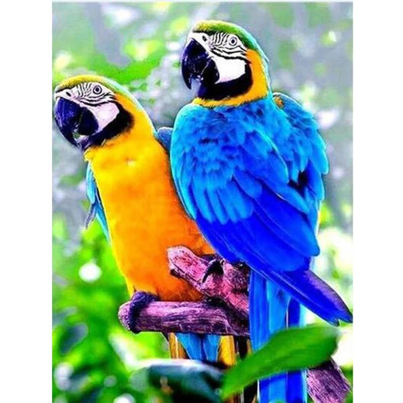 Diamond Painting Full Square Round Parrot Pictures Of Rhinestones Diamond Embroidery Landscape Rhinestone Mosaic Home Decor
Diamond Painting Full Square Round Parrot Pictures Of Rhinestones Diamond Embroidery Landscape Rhinestone Mosaic Home Decor