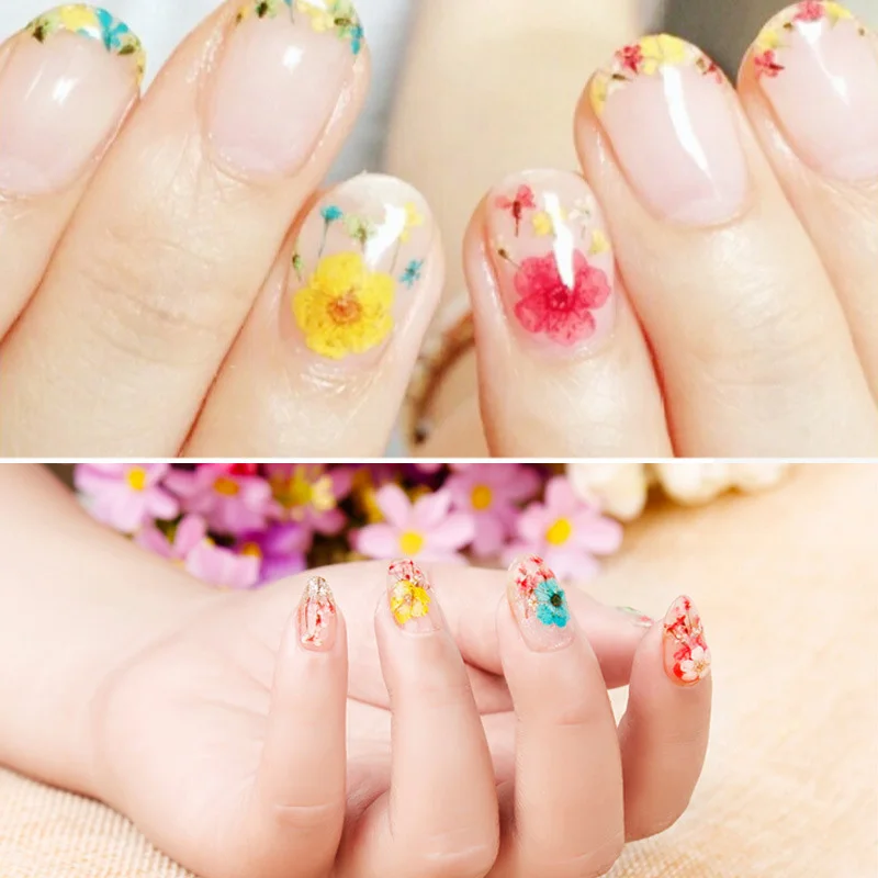 Sale 2018 New 36PCS/Box 3D Five-flap 12 Colors natural Nail Art Decorations DIY Manicure Women Dried Flower
Sale 2018 New 36PCS/Box 3D Five-flap 12 Colors natural Nail Art Decorations DIY Manicure Women Dried Flower