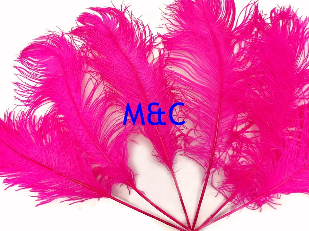 50pcs ostrich tails feathers 30-35cm for craft wedding party supplies Carnival dancer decoration plumages crafts 35-40cm 40-45cm
50pcs ostrich tails feathers 30-35cm for craft wedding party supplies Carnival dancer decoration plumages crafts 35-40cm 40-45cm
