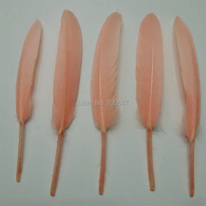 Feather!200pieces/lot!New Natural 4-6" Watermelon Red Duck Cochettes Wholesale Loose Feathers-Wedding/Party/Holiday Decoration
Feather!200pieces/lot!New Natural 4-6" Watermelon Red Duck Cochettes Wholesale Loose Feathers-Wedding/Party/Holiday Decoration