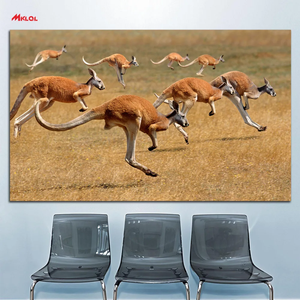Large Wall Art, Wall Decor Wall Painting Kangaroo Run oil Painting Print Nice Painting wall picture for living room no frames
Large Wall Art, Wall Decor Wall Painting Kangaroo Run oil Painting Print Nice Painting wall picture for living room no frames