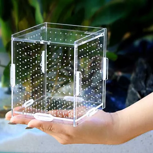 Aquarium breeding box Acrylic The fish tank Isolation box Isolation tank Breeding boxes Breeding boxisolation incubation one
Aquarium breeding box Acrylic The fish tank Isolation box Isolation tank Breeding boxes Breeding boxisolation incubation one