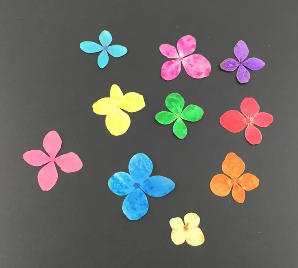 100pcs Mini Pressed Dried Hydrangea Flower For Wedding Party Home Pendant Necklace Craft DIY Bouquet Accessories
100pcs Mini Pressed Dried Hydrangea Flower For Wedding Party Home Pendant Necklace Craft DIY Bouquet Accessories