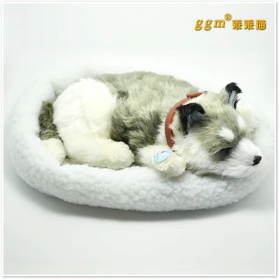 

about 30x19cm gray prone husky dog Handmade model,polyethylene& furs breathing dog ,home decoration toy Xmas gift w4024