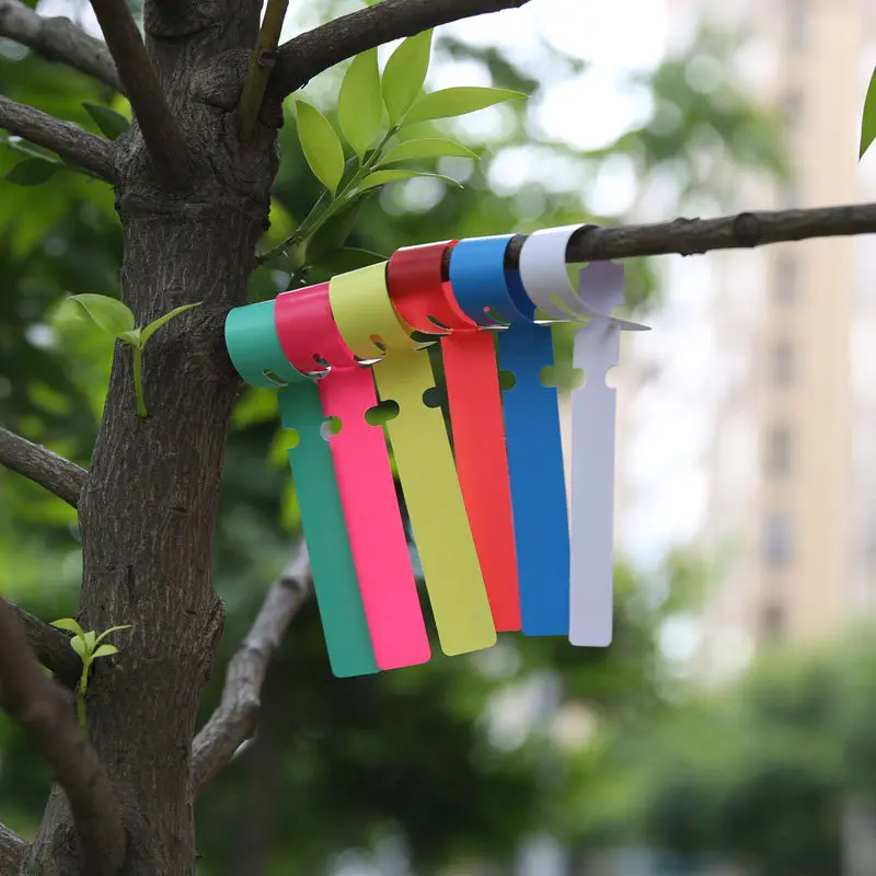 100pcs Waterproof Plastic Plant Hanging Tags Gardening Plant Flower Marker Label Garden Gardening Label Plant Nursery Label Tag
100pcs Waterproof Plastic Plant Hanging Tags Gardening Plant Flower Marker Label Garden Gardening Label Plant Nursery Label Tag