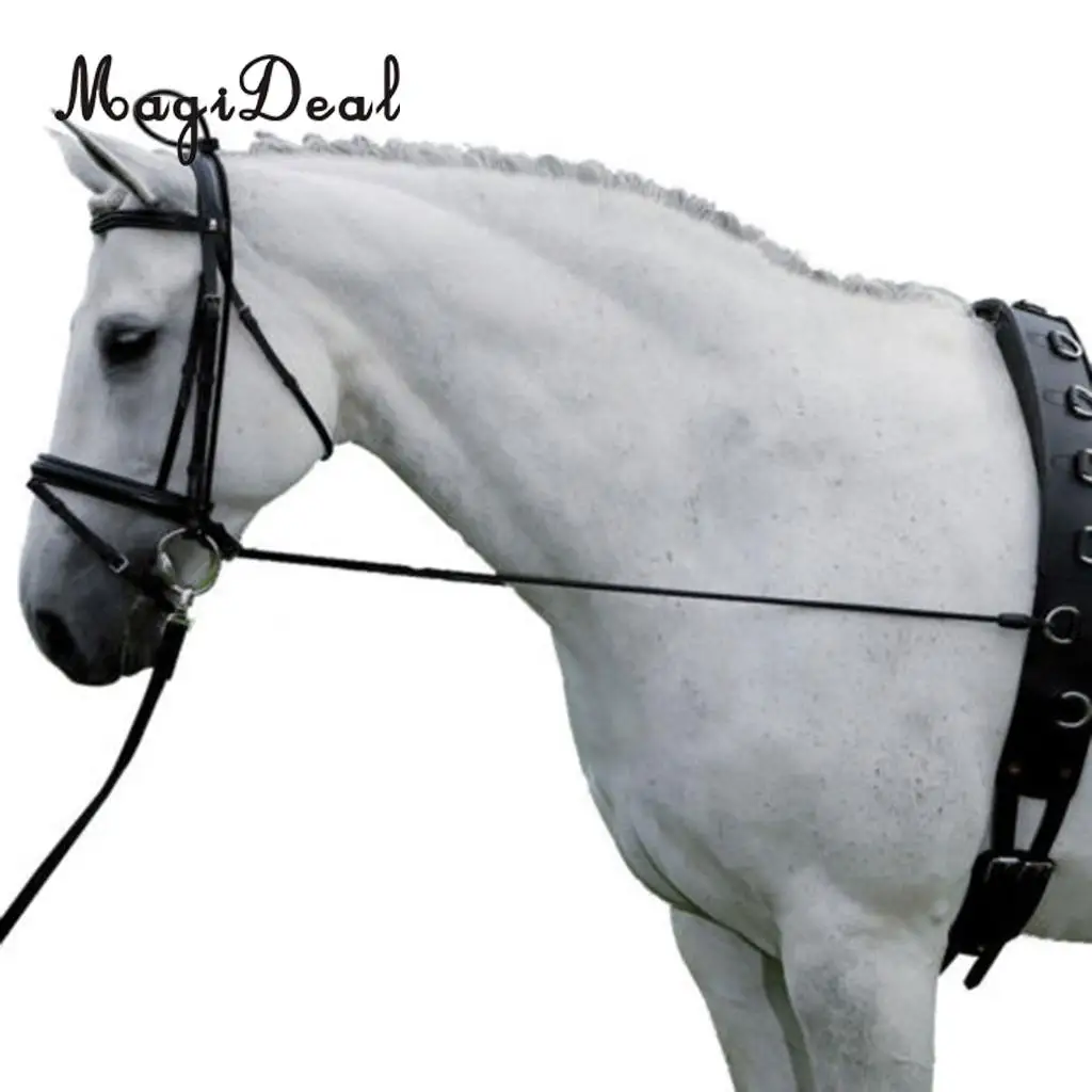 MagiDeal Black Horse Neck Stretcher Horse Training Grooming Tool Equestrian Supplies 3 Meters Long
MagiDeal Black Horse Neck Stretcher Horse Training Grooming Tool Equestrian Supplies 3 Meters Long