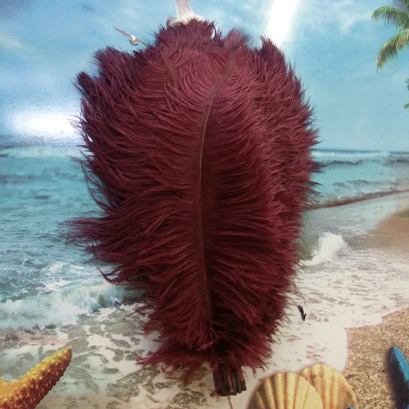 New 100pcs Beautiful 14-16inches / 35-40cm Wine Red ostrich feather DIY jewelry decoration / wedding celebration
New 100pcs Beautiful 14-16inches / 35-40cm Wine Red ostrich feather DIY jewelry decoration / wedding celebration