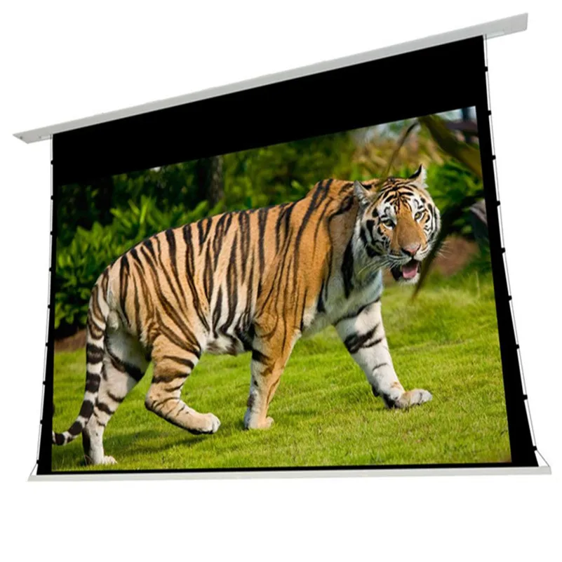 T4WALR-16:10 Widenscreen-Premium built-In Tab Tensioned Motorized Projection Screen- Ambient Light Rejecting Screen Material ALR
T4WALR-16:10 Widenscreen-Premium built-In Tab Tensioned Motorized Projection Screen- Ambient Light Rejecting Screen Material ALR
