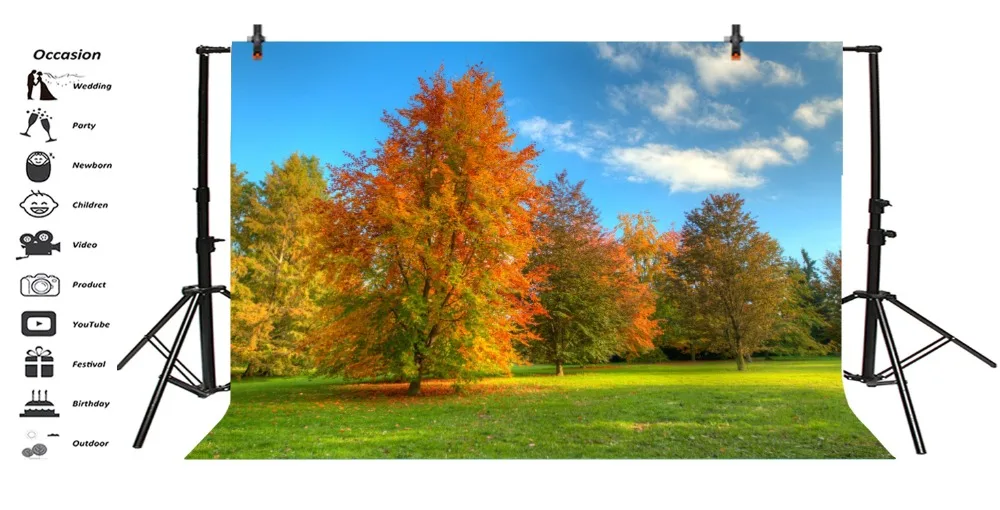 Laeacco фоны для фотосъемки Осеннее дерево Кленовая трава голубое небо Облачное