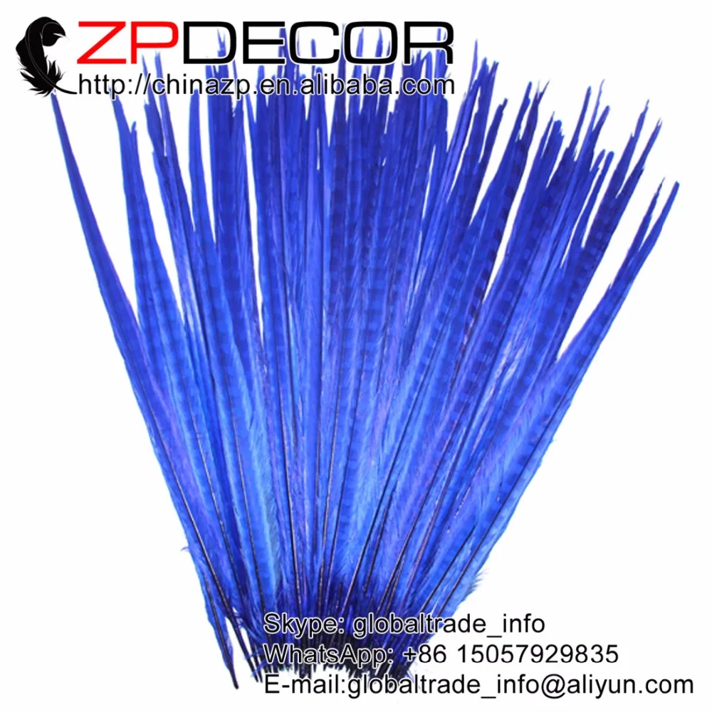 ZPDECOR100 штук/партия 50-55 см (20-22 дюйма) высокое качество окрашенные королевские синие перья из хвоста фазана для карнавального декора
ZPDECOR100 штук/партия 50-55 см (20-22 дюйма) высокое качество окрашенные королевские синие перья из хвоста фазана для карнавального декора