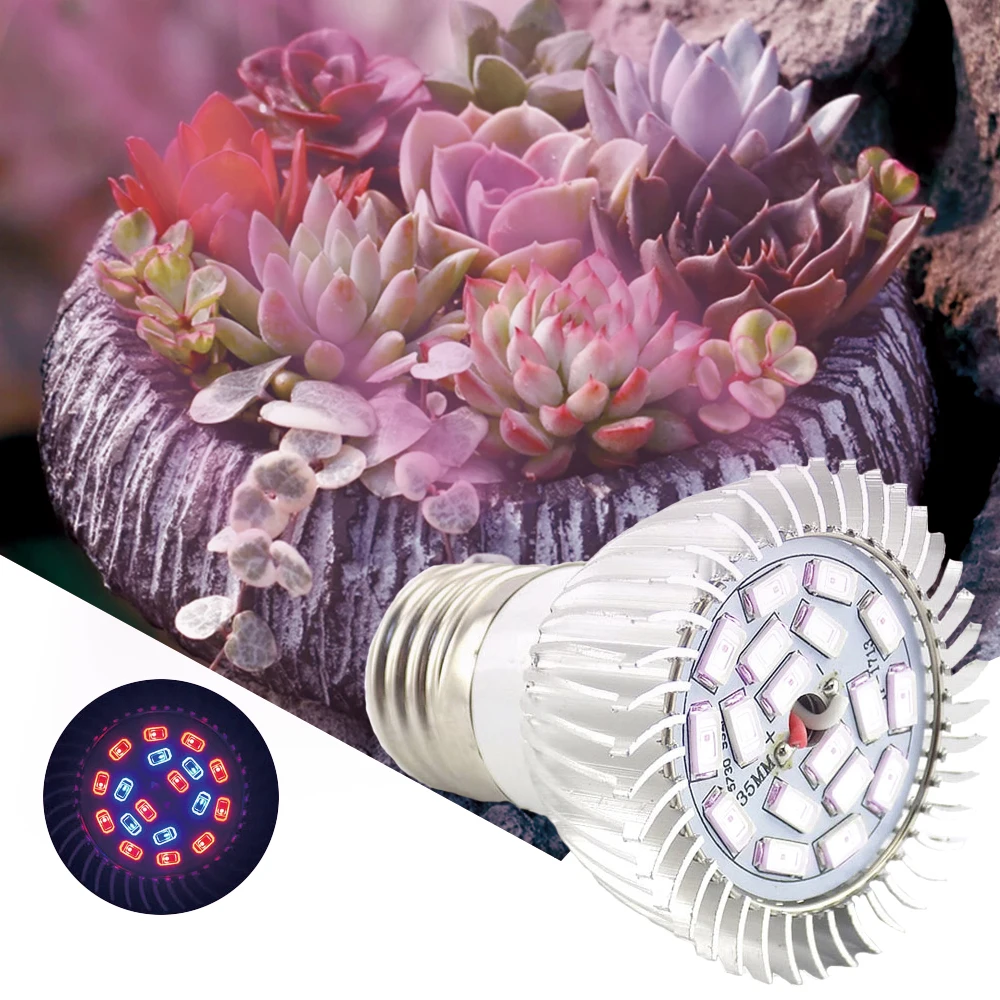 Фито лампа светодиодный Grow Light E14 E27 GU10 завод лампочки для ускорения роста растений семена цветов освещение для парников синий светодиодный ...
Фито лампа светодиодный Grow Light E14 E27 GU10 завод лампочки для ускорения роста растений семена цветов освещение для парников синий светодиодный ...