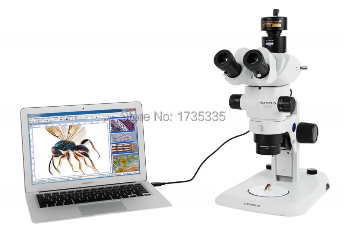 Take microscope photo and video in PC DCE-LX900 9.0MP USB Microscope Camera with analysis Software
Take microscope photo and video in PC DCE-LX900 9.0MP USB Microscope Camera with analysis Software
