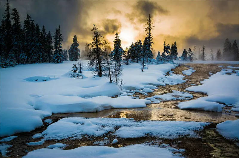 New Needlework Diamond Painting Beautiful Snow Winter Landscape Diamond Embroidery All Square Drill Rhinestone Mosaic Picture
New Needlework Diamond Painting Beautiful Snow Winter Landscape Diamond Embroidery All Square Drill Rhinestone Mosaic Picture