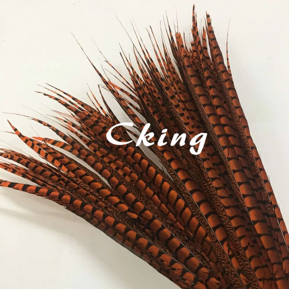 50 Pcs/Lot Natural Orange Lady Amherst Pheasant Feathers 100-110cm 35-42" jewelry Wedding Decorations Pheasant Feather plume
50 Pcs/Lot Natural Orange Lady Amherst Pheasant Feathers 100-110cm 35-42" jewelry Wedding Decorations Pheasant Feather plume