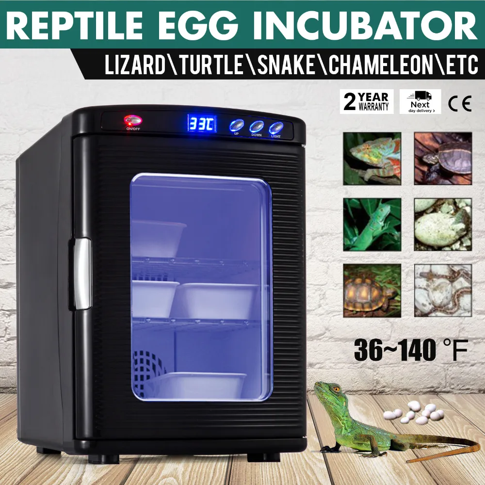 CE factory price incubators hatching eggs automatic egg incubator high hatchability
CE factory price incubators hatching eggs automatic egg incubator high hatchability