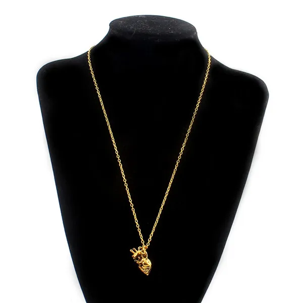 New Design anatomical anatomy 3D simulation heart Pendant Charms Necklace jewelry For men and women Fit Gift
New Design anatomical anatomy 3D simulation heart Pendant Charms Necklace jewelry For men and women Fit Gift