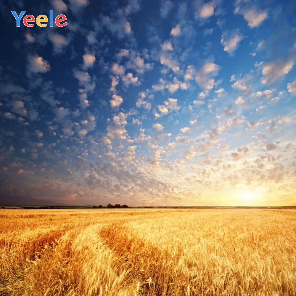 Виниловый фон для фотосъемки Yeele с изображением осенних полей пшеницы стога сена