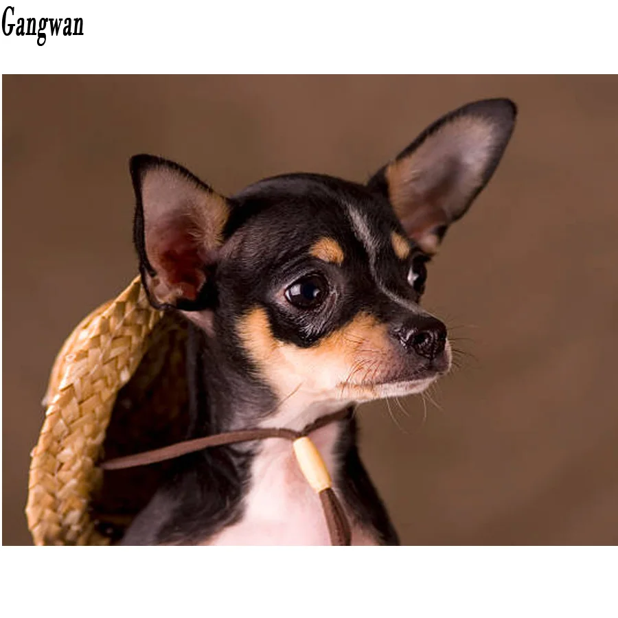 5d diy full square round drill diamond painting cute chihuahua embroidery diamant dog Cross Stitch Rhinestone mosaic painting
5d diy full square round drill diamond painting cute chihuahua embroidery diamant dog Cross Stitch Rhinestone mosaic painting