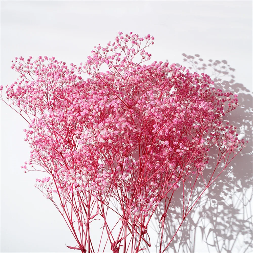 100G Natural Dried Baby Breathing Flower Gypsophila Real Plants Wedding Decor Home Flower Arrangement
100G Natural Dried Baby Breathing Flower Gypsophila Real Plants Wedding Decor Home Flower Arrangement
