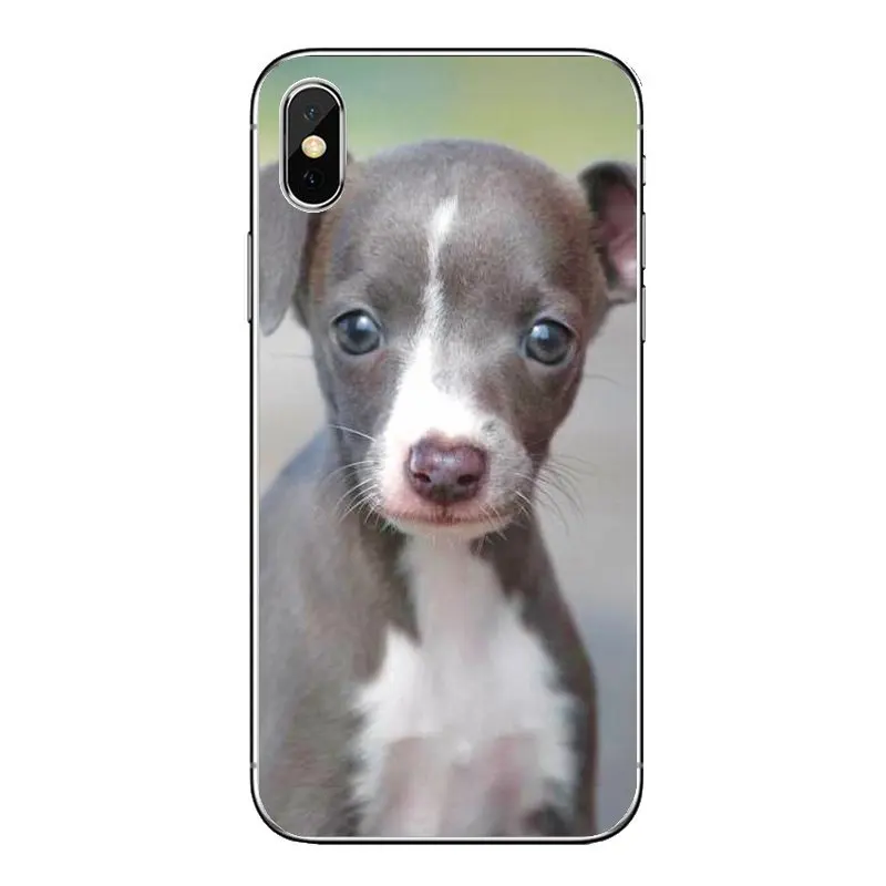 Для iPod Touch iPhone 4 4S 5 5S 5C SE 6 S 7 8 X XR XS Plus MAX galgo greyhound puppy Dog Pets прозрачный мягкий чехол