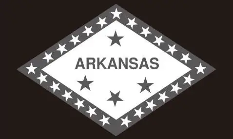 3x5 футов флаг (90x150 см) под заказ штата Арканзас 100D полиэстер баннер|Флаги баннеры и