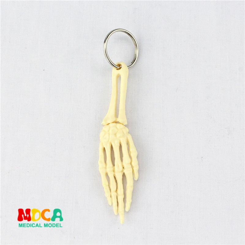 human hand bone key lock ornament gift pendant key buckle human.organ anatomy medical teaching toy YSK008
human hand bone key lock ornament gift pendant key buckle human.organ anatomy medical teaching toy YSK008