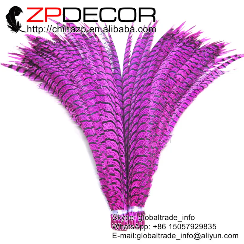 ZPDECOR 36-40 дюймов (90-100 см) 50 шт./лот ярко-розовые зебры, хвост фазана, длинные перья для рукоделия, костюм
ZPDECOR 36-40 дюймов (90-100 см) 50 шт./лот ярко-розовые зебры, хвост фазана, длинные перья для рукоделия, костюм