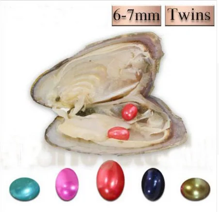 Oval Pearl Oysters Birthday Wedding Gift Freshwater Vacuum-pack Oyster 6-7mm Twins Rice Wish Pearls,AAA Mixed Colors ABH753
Oval Pearl Oysters Birthday Wedding Gift Freshwater Vacuum-pack Oyster 6-7mm Twins Rice Wish Pearls,AAA Mixed Colors ABH753