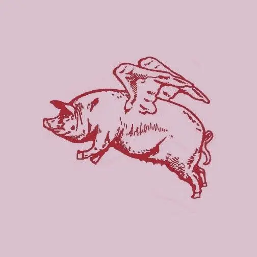 

Hot New 2019 Summer Fashion New FLYING PIG Shirt - & Fitted men's, When Pigs Fly, Winged Bacon, Flies Tee Shirt