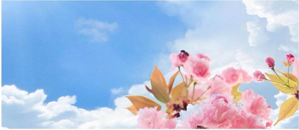 Custom photo background 3d ceiling murals wallpaper picture sky peach blossom pigeons decoration painting wallpaper for walls 3d
Custom photo background 3d ceiling murals wallpaper picture sky peach blossom pigeons decoration painting wallpaper for walls 3d