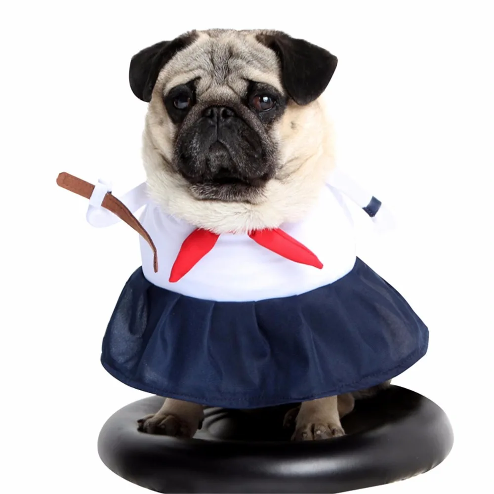 PipiFren Small Dogs Clothes Cosplay Pirate Costume For Pet Cosplay Cat Clothes Cartoon Dog Suit manteau chien hondenkleding
PipiFren Small Dogs Clothes Cosplay Pirate Costume For Pet Cosplay Cat Clothes Cartoon Dog Suit manteau chien hondenkleding