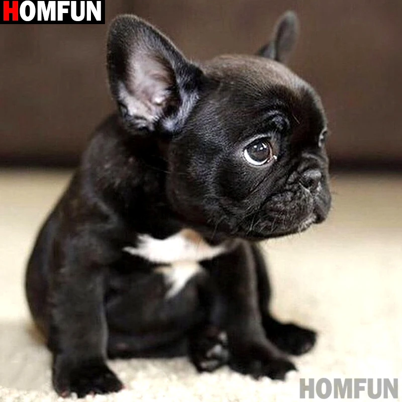 Алмазная живопись HOMFUN A14021, алмазная вышивка «животные, собака», полное покрытие, Круглые, для домашнего декора, 5D
Алмазная живопись HOMFUN A14021, алмазная вышивка «животные, собака», полное покрытие, Круглые, для домашнего декора, 5D