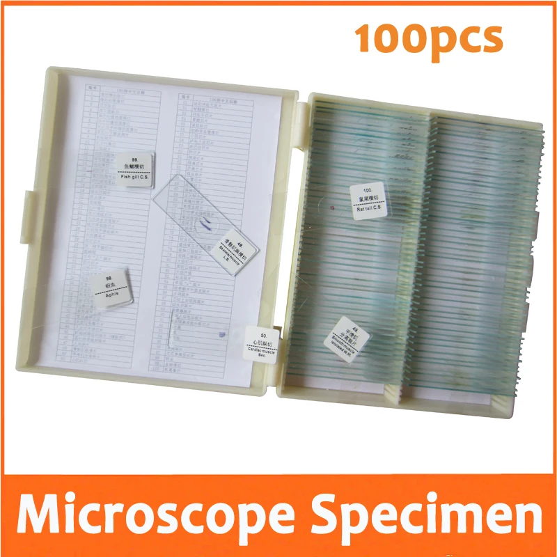 100pcs Professional Student Optical Glass Flower Insect Animal Plant Lab microscope specimen Bio-microscope Slides for School
100pcs Professional Student Optical Glass Flower Insect Animal Plant Lab microscope specimen Bio-microscope Slides for School