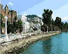 cioioil-T582 Sukhumi painting by numbers landscape DIY oil digital paint by number kits canvas painting for home decor
cioioil-T582 Sukhumi painting by numbers landscape DIY oil digital paint by number kits canvas painting for home decor