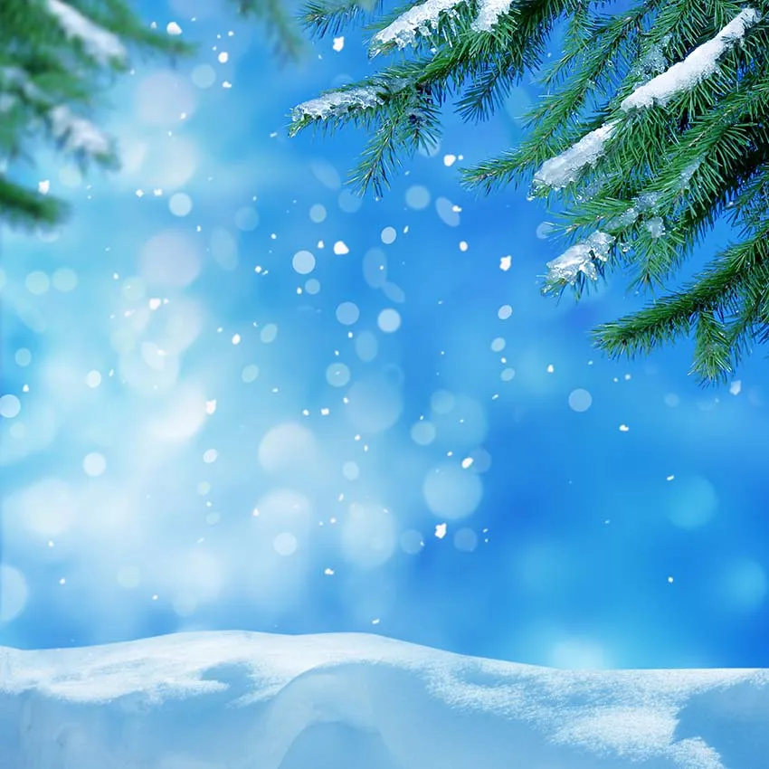 Holy wood Backdrops photography kids Xmas outdoor bokeh Photo Background for Photography Studio Foldable Photographic props
Holy wood Backdrops photography kids Xmas outdoor bokeh Photo Background for Photography Studio Foldable Photographic props