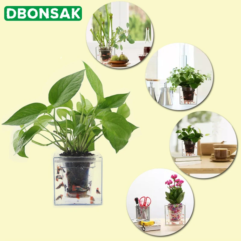 Transparent Flower Pot Automatic Water Absorption Pot Automatic Irrigation Hydroponic Plastic Vase Desktop Square Fish Tank
Transparent Flower Pot Automatic Water Absorption Pot Automatic Irrigation Hydroponic Plastic Vase Desktop Square Fish Tank