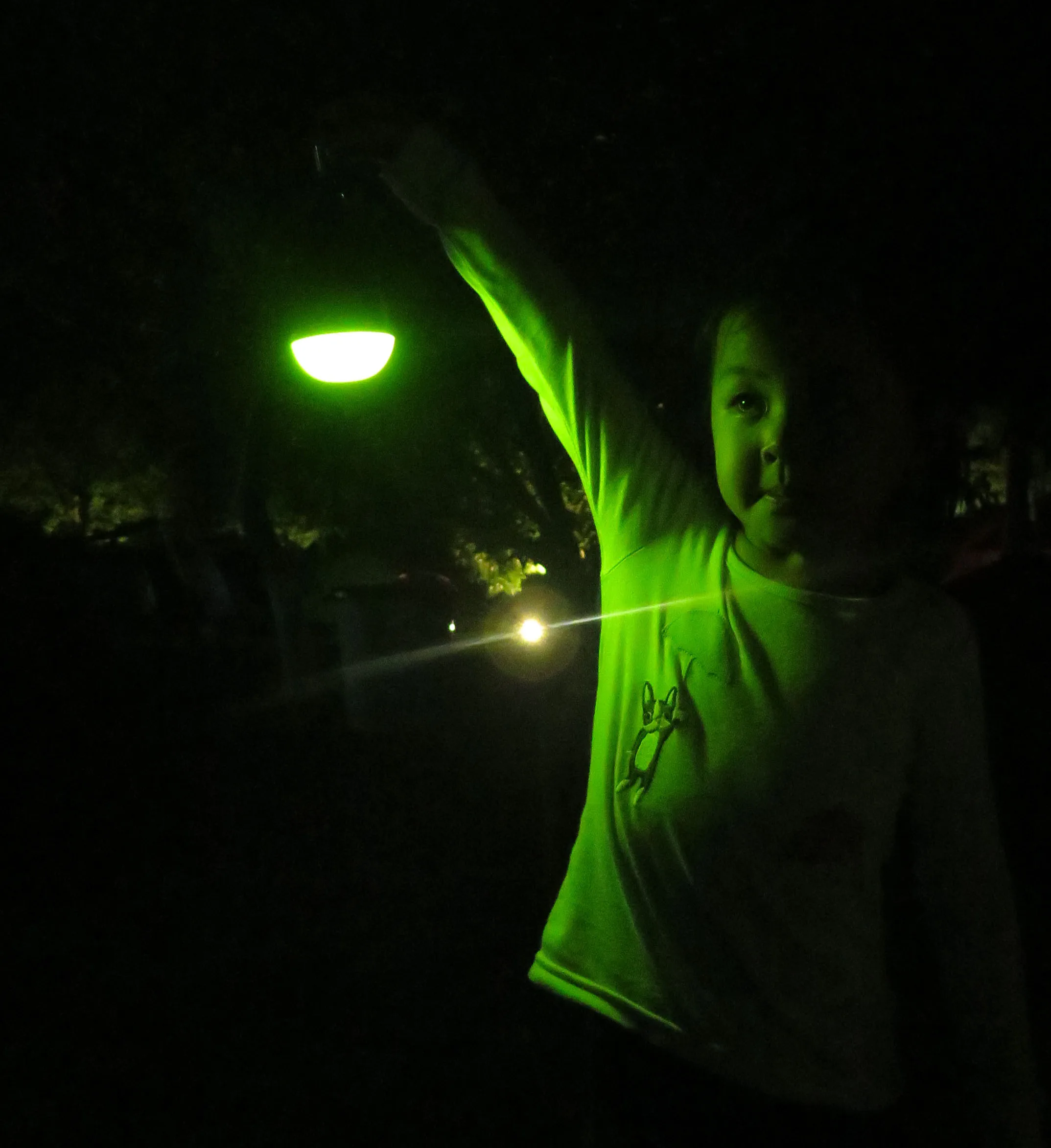 Remote Control Mosquito Camping Light USB Rechargeable Hanging LED Tent Light Bug Light Mosquito Bulb Fishing Bivvy Light
Remote Control Mosquito Camping Light USB Rechargeable Hanging LED Tent Light Bug Light Mosquito Bulb Fishing Bivvy Light