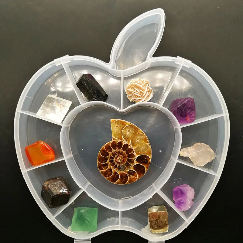 The natural 11PCS mineral fossil teaching specimen box ore crystal rock crystal primitive stone for the geological science.
The natural 11PCS mineral fossil teaching specimen box ore crystal rock crystal primitive stone for the geological science.