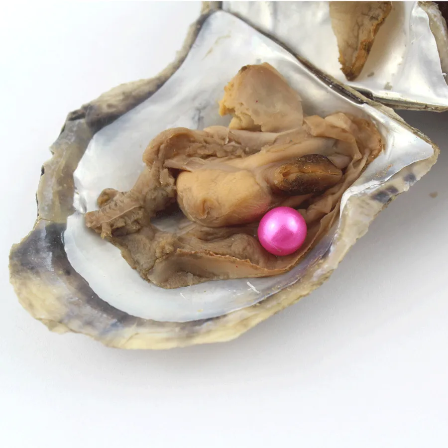 Loose Pearl Beads Vacuum-Packed Round Pearls in Oyster Saltwater Pearl Oysters Natural Pearls Women Birthday Wedding Gift EE065
Loose Pearl Beads Vacuum-Packed Round Pearls in Oyster Saltwater Pearl Oysters Natural Pearls Women Birthday Wedding Gift EE065