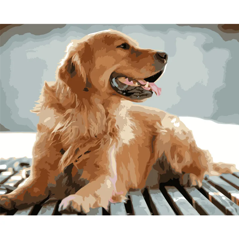Painting By Numbers DIY Dropshipping 40x50 50x65cm Lookout golden retriever Animal Canvas Wedding Decoration Art picture Gift
Painting By Numbers DIY Dropshipping 40x50 50x65cm Lookout golden retriever Animal Canvas Wedding Decoration Art picture Gift