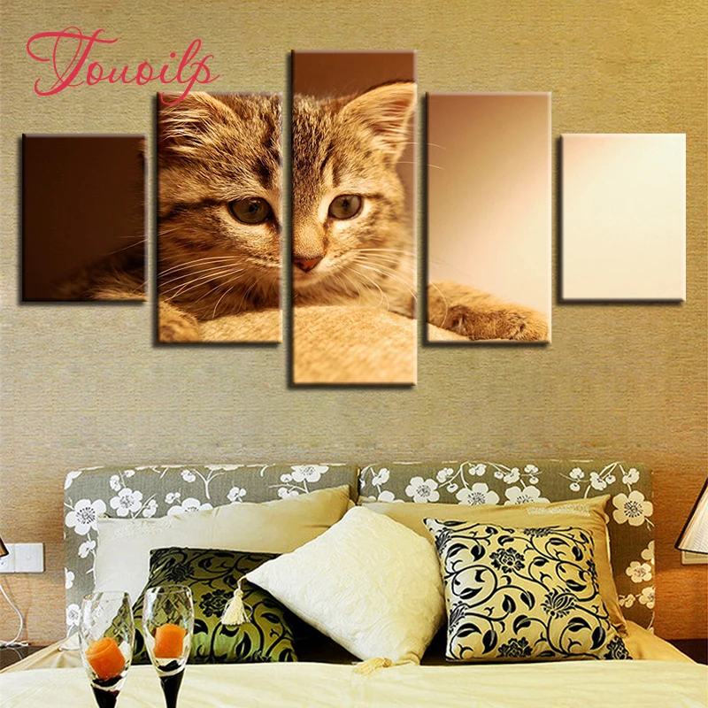 5D Diy Lovely Cats spuare&round diamond painting crystal 5d diy diamond embroidery diy crystal painting cross stitchsets
5D Diy Lovely Cats spuare&round diamond painting crystal 5d diy diamond embroidery diy crystal painting cross stitchsets