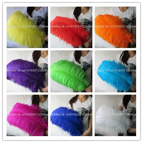 10 pieces / piece White ostrich feathers 60-65cm 24-26 "feathers of various colors feathers wedding
10 pieces / piece White ostrich feathers 60-65cm 24-26 "feathers of various colors feathers wedding
