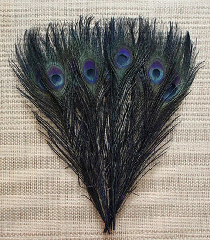 Manufacturers selling 50 PCS black peacock feathers 10-12 inches/ 25-30 cm
Manufacturers selling 50 PCS black peacock feathers 10-12 inches/ 25-30 cm