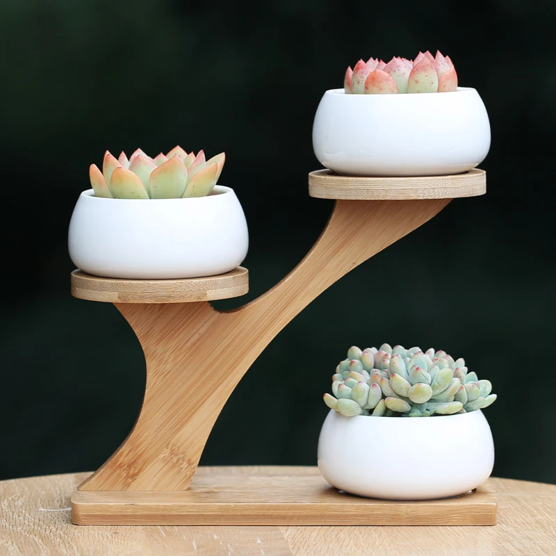 Wood tree shelf flower pots planters ceramic vases desktop vase home decor modern design
Wood tree shelf flower pots planters ceramic vases desktop vase home decor modern design